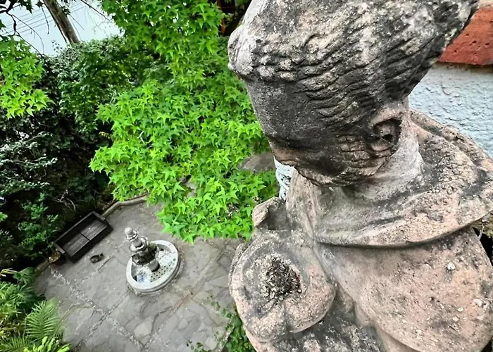 Boutique And Gallery In San Angel Bed and breakfast